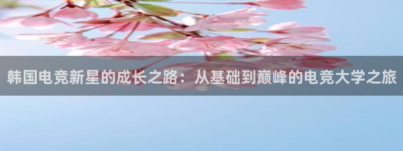 小艾电竞app：韩国电竞新星的成长之路：从基础到巅峰的电竞大学之旅
