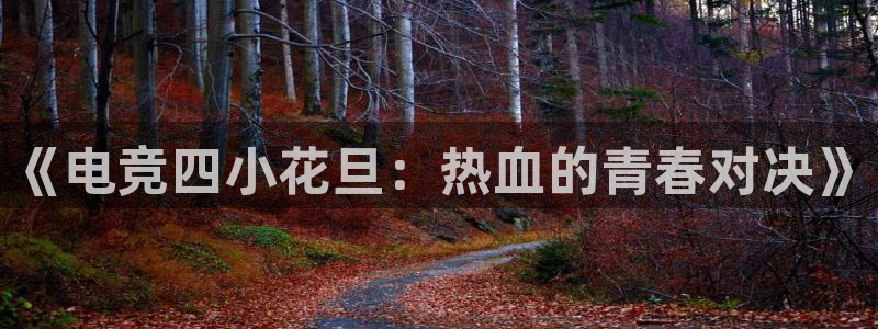 小艾电竞下载：《电竞四小花旦：热血的青春对决》
