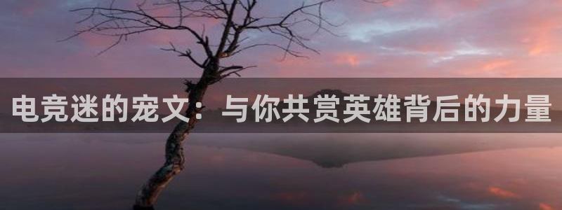 小艾电竞app：电竞迷的宠文：与你共赏英雄背后的力量