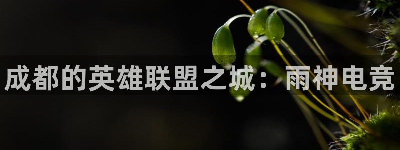 小艾电竞场馆平台：成都的英雄联盟之城：雨神电竞