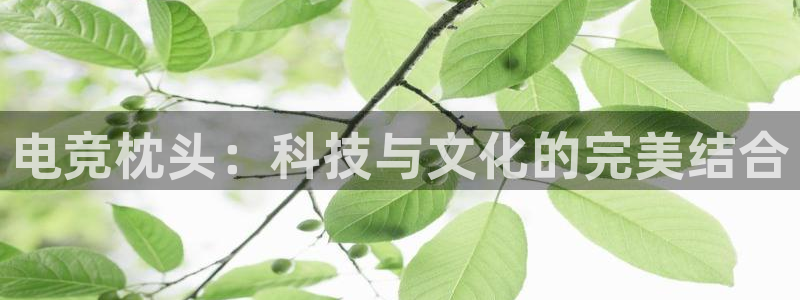小艾电竞集团